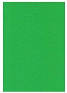Eclet 20 Sheets Dark Green Shimmer Cardstock Green Paper, Green Card Stock Printer Paper for Christmas, Invitations, Certificates, Crafts, A4 180 gsm Coloured Paper