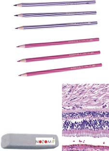 STAEDTLER 3Pencils of Violet and 3Lilac color with 1Pc Color Pencil/Ink Eraser-H,E Pencils Pencil