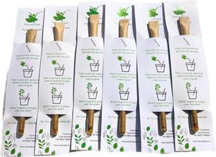 Sow and Grow Plantable Seed Paper Pen (Pack of 25 Individually Packed Single Pens) Eco Pencil