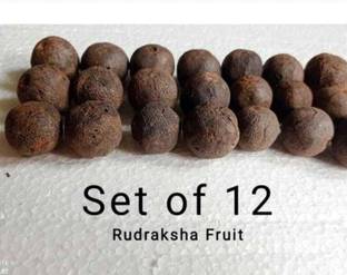 Akaraya Rudraksham Rudraksha Sacred Fruit-Tear (Set of 12) With Brand Certification Wood Pendant