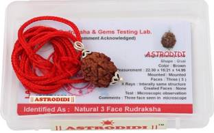 Astrodidi 3 Mukhi Rudraksha 100% Original and Natural Three Face Rudraksha with Lab Report Silver Wood Pendant