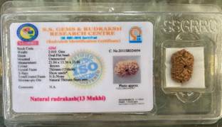 Vegga 13 mukhi rudraksha 100%pure certified Wood