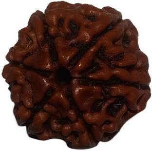Jewelswonder 100 % Original & Natural Six Face / 6 Mukhi Rudraksha With JGL Lab Wood