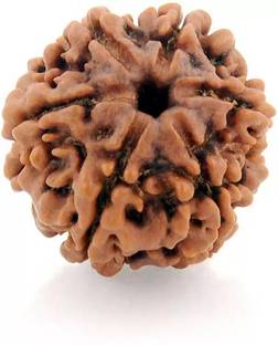 Chopra Gems Natural Six Mukhi (6 face) Rudraksha Men & Women Brass