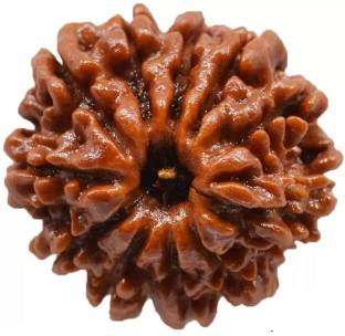 Shivalays 11 Mukhi Nepali Rudraksha 100% Original Rudraksha with Lab Report Wood