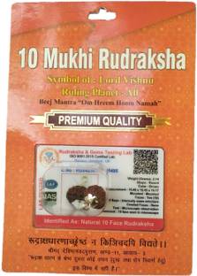 BHAKTI SHRINGAR 10 Mukhi Rudraksha Original Certified Lab Test & X-ray Report Sterling Silver Wood Pendant