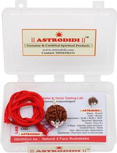 Astrodidi 5 Mukhi Nepali Rudraksha Five Face Original Real Rudraksha with Lab Certificate Silver Silver Pendant