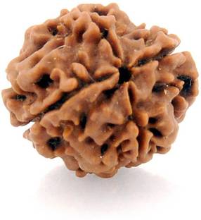 Rashifaashion 4 Mukhi (Char mukhi) Rudraksha 100% Original Wood Pendant