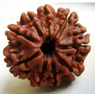 kartik gems 9 MUKHI RUDRAKSHA (NINE FACE) 100% ORIGINAL WITH CERTIFICATION Wood Pendant