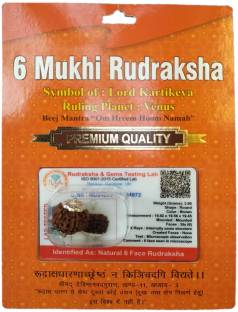 BHAKTI SHRINGAR 6 Mukhi Rudraksha Original Certified Lab Test & X-ray Report Sterling Silver Wood Pendant
