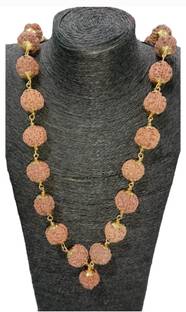 Nepali Rudraksha 5 Mukhi Nepali Rudraksha Original Certified | Original Seller Nepali Rudraksha | Mother of Pearl