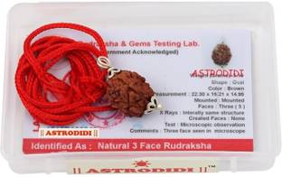 Astrodidi 3 Mukhi Rudraksha 100% Original and Natural Three Face Rudraksha with Lab Report Silver Wood Pendant