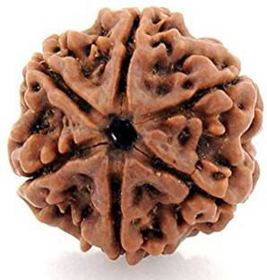 रुद्राक्ष मार्ट 4 mukhi rudraksha लकड़ी लॉकेट