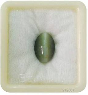 Aanya Jewels 7.25 Ratti Natural Cat Eye Stone Natural cat eye Cat's Eyes Cat's Eye Stone