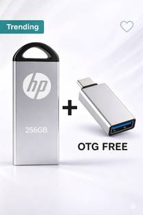 HP nq V229V 256 GB Pen Drive Compatible with Laptop, Audio Player, Tablet, Mobile USB 3.0 Metal Case