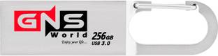 GNS World G-53 256 GB Pen Drive Compatible with Mobile, Laptop, Desktop Computer, Audio Player, Tablet, Television USB 3.0 Metal Case