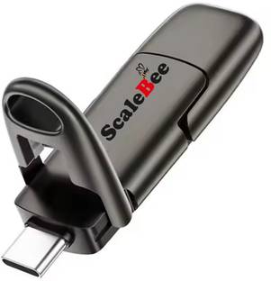 SCALEBEE 256GB SSD Solid State Flash Drives USB 3.2 Metal Super High Speed OTG Pendrive 256 GB OTG Drive Compatible with Audio Player, Desktop Computer, Gaming Console, Laptop, Mobile, Netbook, Tablet, Television USB 3.2 Metal Case