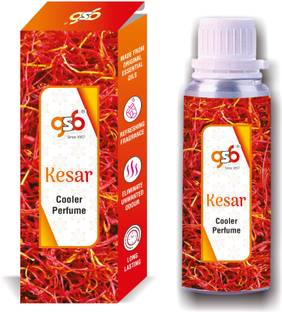 GANDHI SUGANDH BHANDAR Kesar Cooler Perfume | Long Lasting | Alcohol Free Perfume  -  25 ml