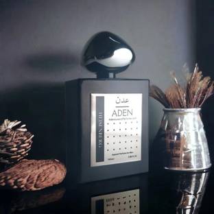 ADEN Heisenberg for Men 100ml Perfume  -  100 ml