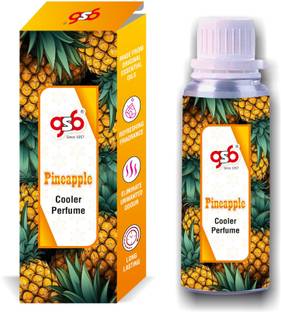 GANDHI SUGANDH BHANDAR Pineapple Cooler Perfume | Long Lasting | Alcohol Free Perfume  -  100 ml