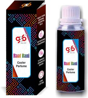 GANDHI SUGANDH BHANDAR Raat Rani Cooler Perfume | Long Lasting | Alcohol Free Perfume  -  25 ml