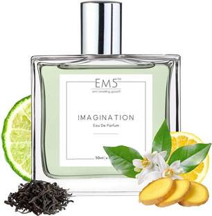 Em5 Imagination Perfume for Men | Citrus Amber Fresh Spicy Fragrance Eau de Parfum  -  50 ml