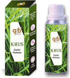 GANDHI SUGANDH BHANDAR Khus Cooler Perfume | Long Lasting | Alcohol Free Perfume  -  100 ml