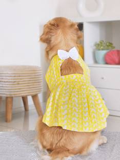 Paws By Vastramay Dress for Dog