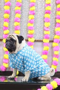Baeship Dress for Dog