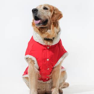 Barks & Wags Winter Jacket for Dog, Cat