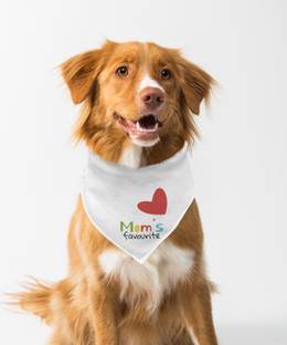 Farnup Bandana for Dog