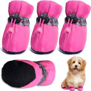 KUTKUT Shoes for Dog