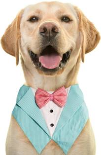 Buraq Tuxedo for Dog