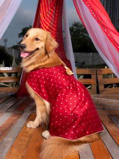 Paws By Vastramay Dress for Dog