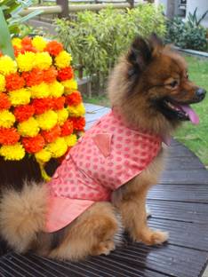 Paws By Vastramay Dress for Dog