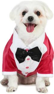 Barks & Wags Tuxedo for Dog, Cat