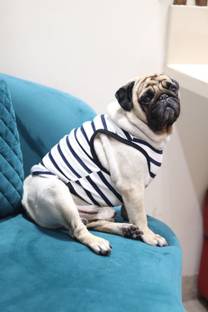 Baeship T-shirt for Dog