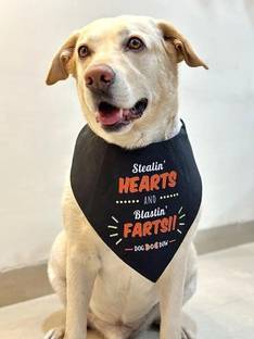 Dog-O-Bow Bandana for Dog