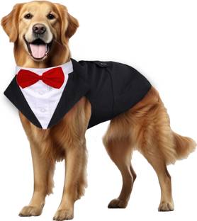 Buraq Tuxedo, Costume for Dog