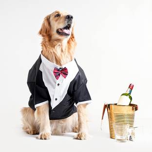 Barks & Wags Tuxedo for Dog