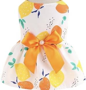 KUTKUT Frock for Dog, Cat