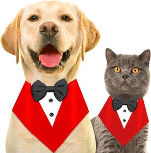 Buraq Tuxedo for Dog