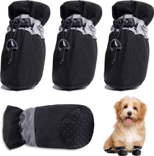 KUTKUT Shoes for Dog