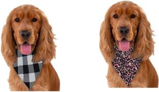PAWPOURRI Bandana for Cat, Dog