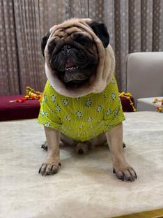 Baeship Dress for Dog