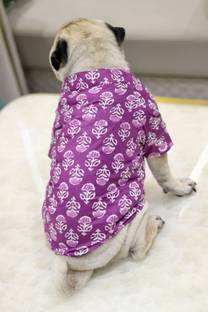 Baeship Dress for Dog