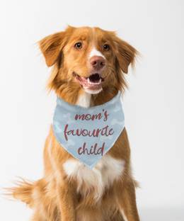 Farnup Bandana for Dog