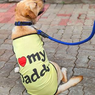Lulala T-shirt for Dog, Cat