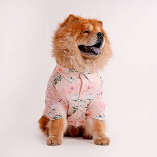 Barks & Wags Shirt for Dog