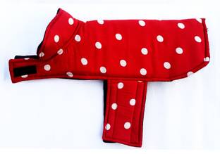 Pets Planet Life Jacket, Coat for Dog, Cat